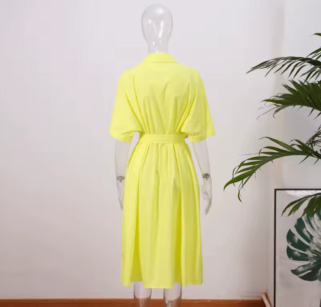 Martha collard button up dress
