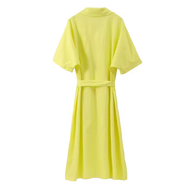 Martha collard button up dress